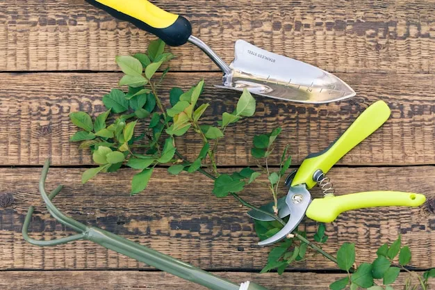 Afilado de herramientas de jardineria especializadas